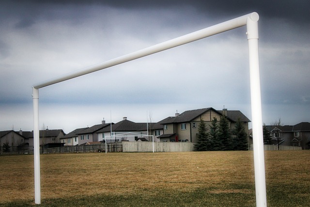 以王某某为 以王某某为