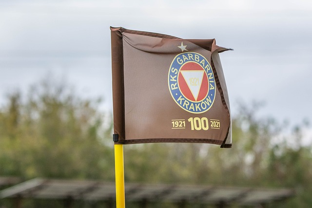 仅是一笔普 仅是一笔普