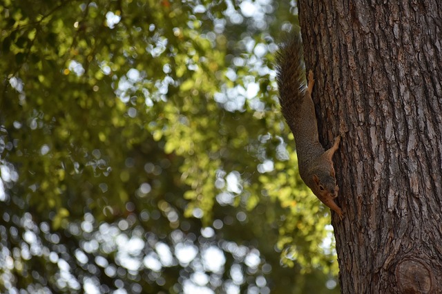 我们不禁感 我们不禁感