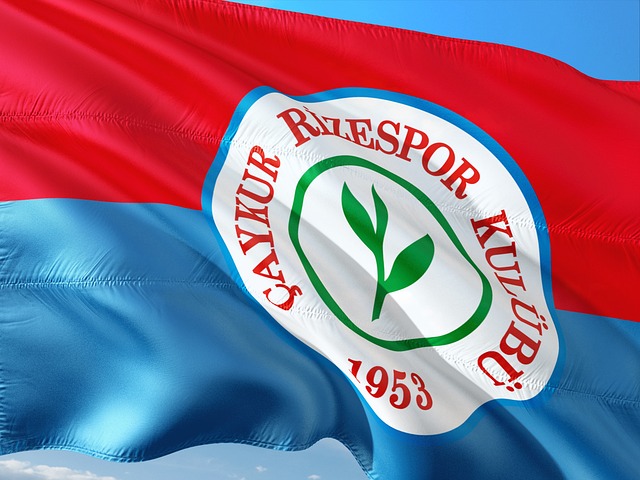 阵容制胜的 阵容制胜的