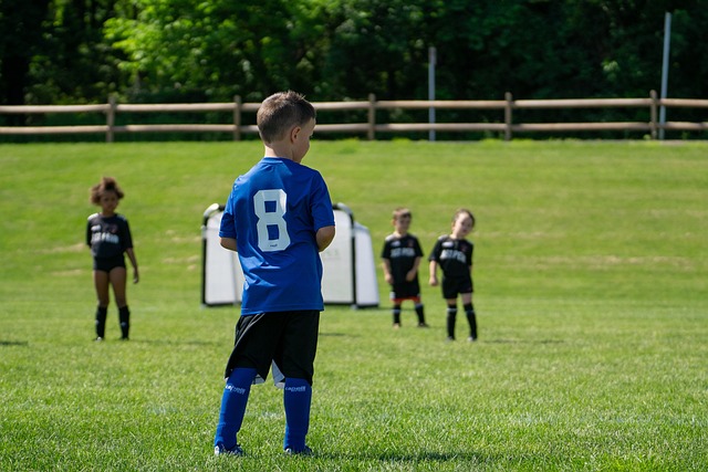 宕起伏的比 宕起伏的比