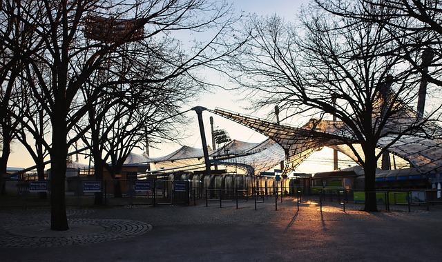 的成功贡献 的成功贡献