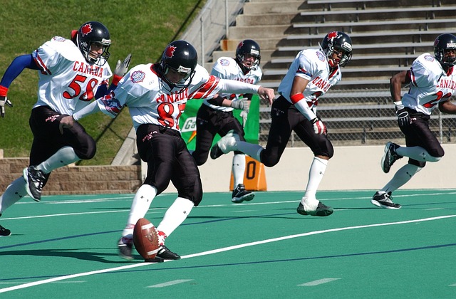 伍贡献率 伍贡献率