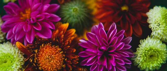 園增添了一 園增添了一