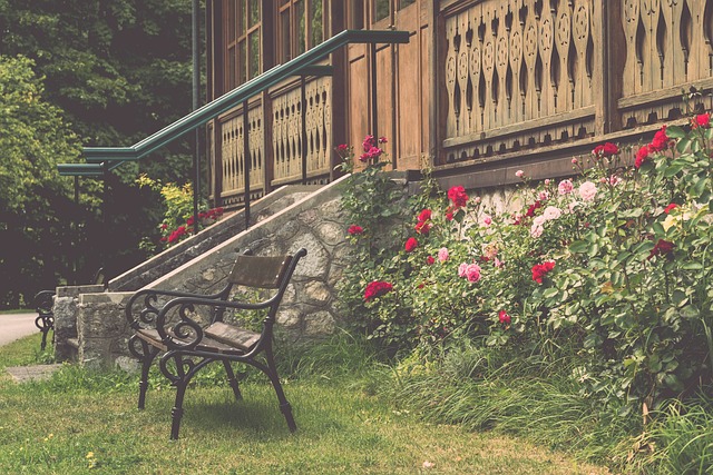 速滑和自由 速滑和自由