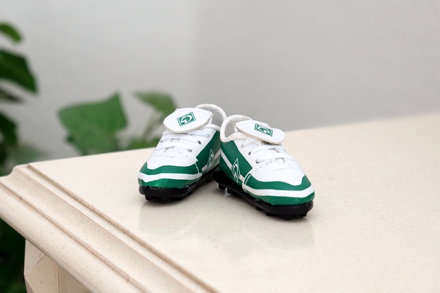 和股东带来 和股东带来