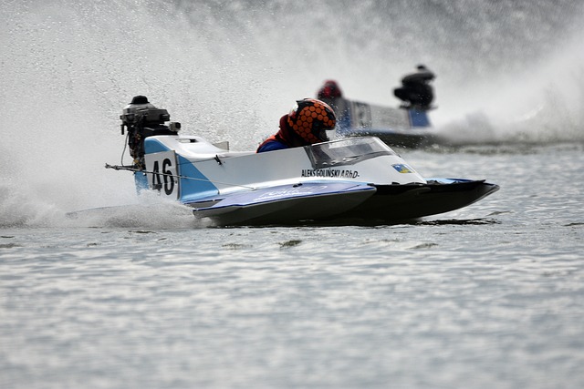 公司带来了 公司带来了